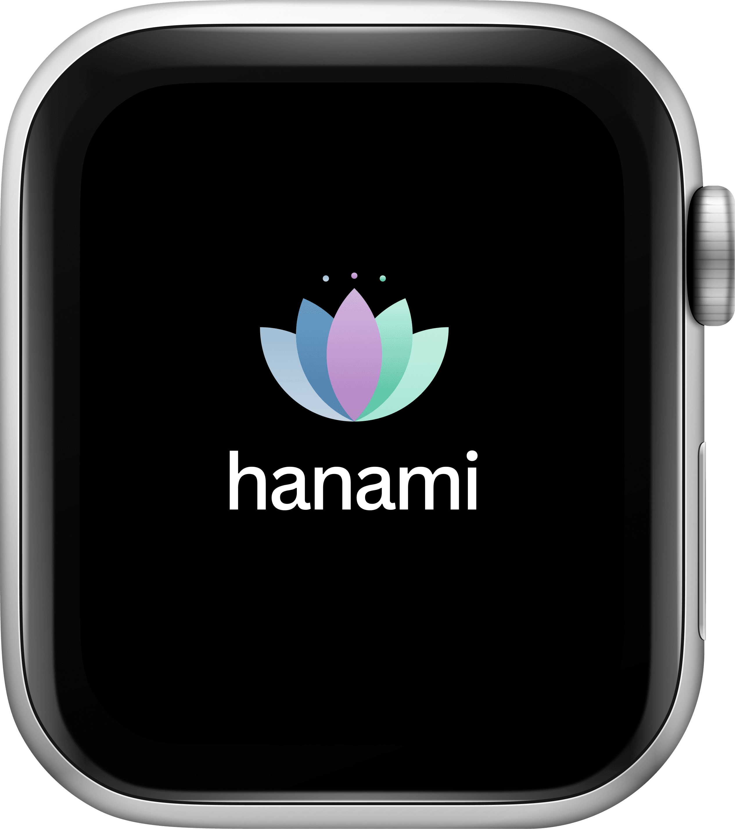 Hanami splash screen